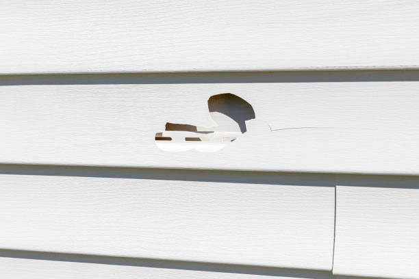 Best Siding Removal and Disposal  in Blissfield, MI