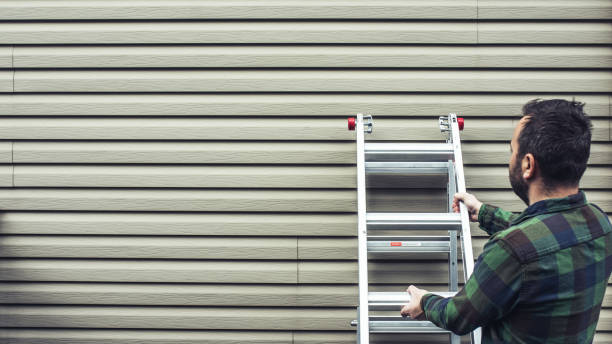 Best Steel Siding Installation  in Blissfield, MI