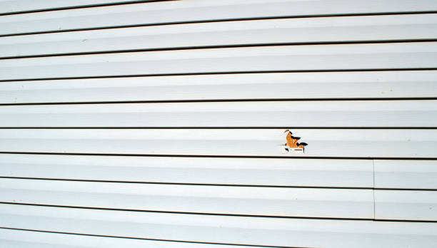  Blissfield, MI Siding Installation Pros