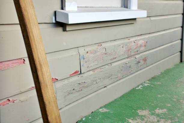 Best Custom Siding Design  in Blissfield, MI