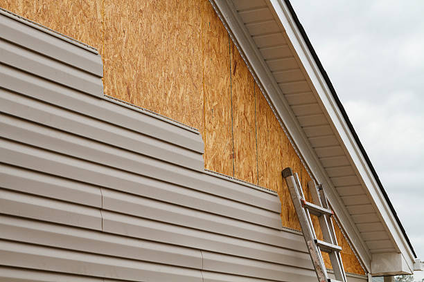 Best Residential Vinyl Siding Installation  in Blissfield, MI